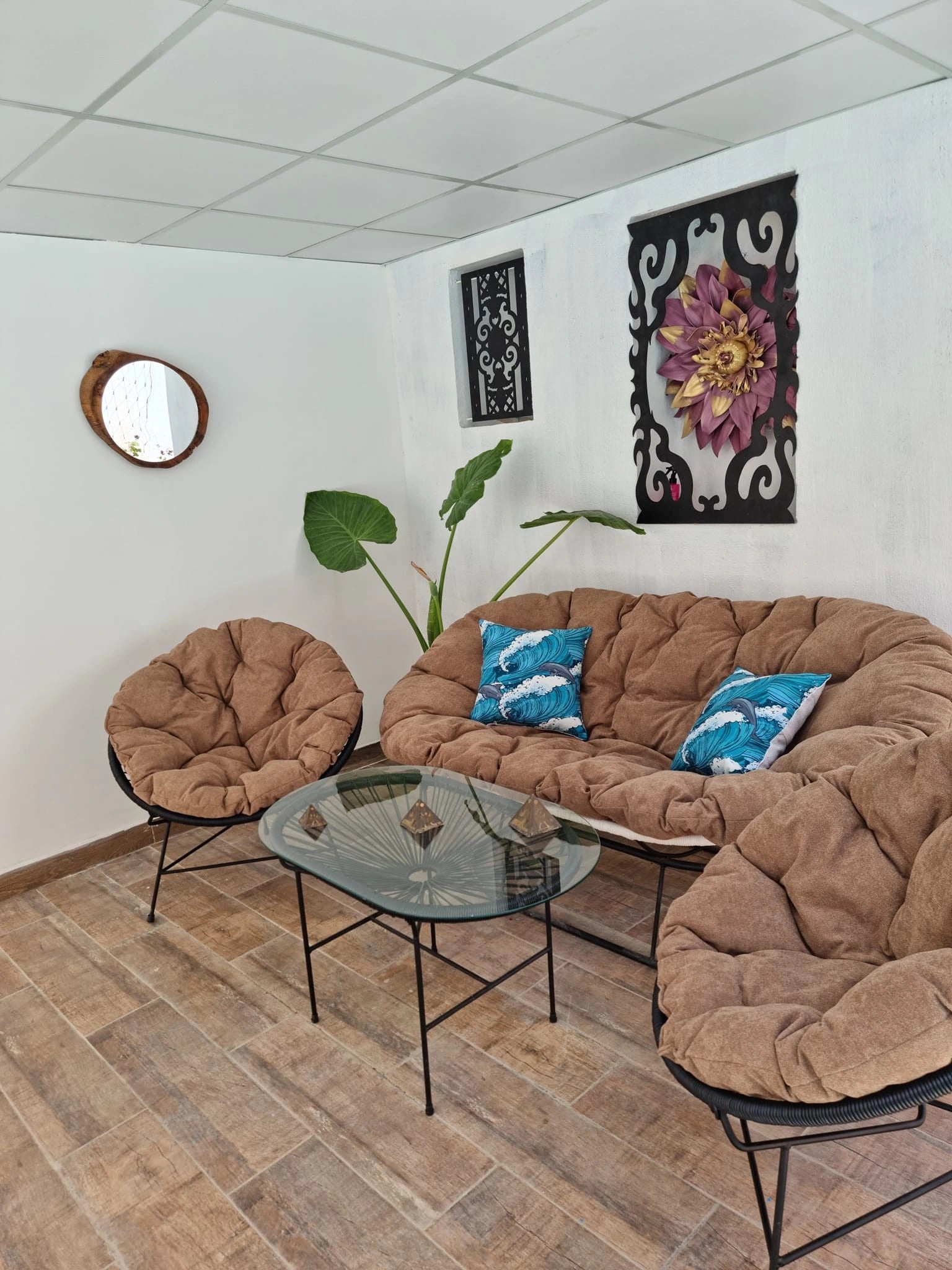 PACK MAJORELLE